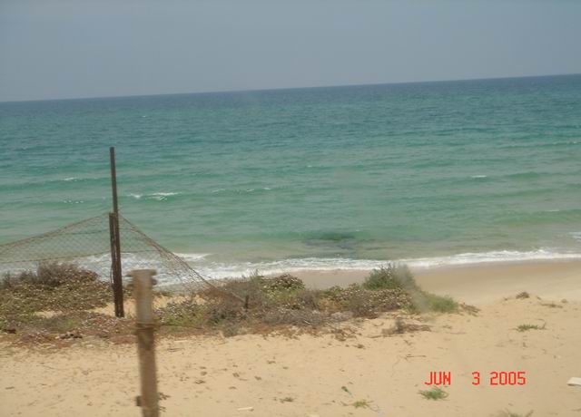 DSC03308.JPG