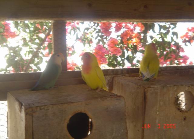 DSC03354.JPG