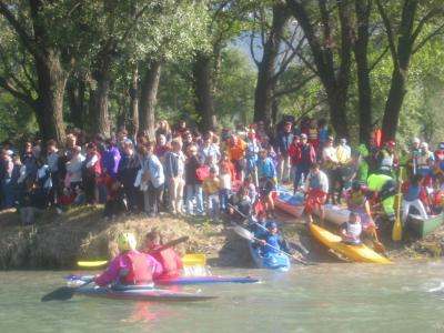 in acqua come i pinguini