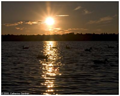 River Sunset