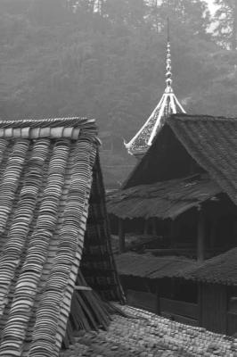pagoda-roof-peek-sharp.jpg