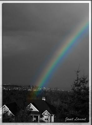 Rainbow in B/WNovember 3