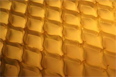 v3/49/479449/3/45708667.3rd_lines_and_grids_web.jpg