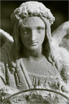 v3/49/479449/3/46169404.13th_angel_web.jpg