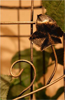 v3/49/479449/3/46845664.27th_bird_cage_web.jpg