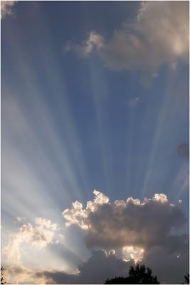 23rd - His Rays