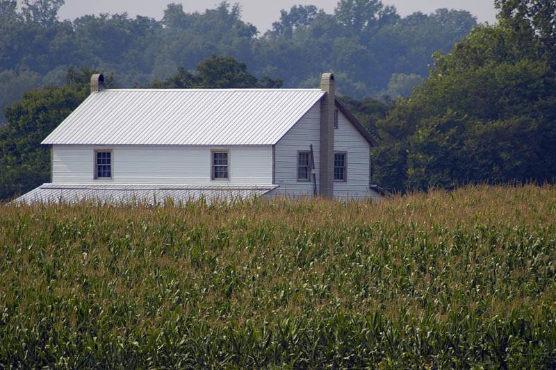 Home Amongst the Corn