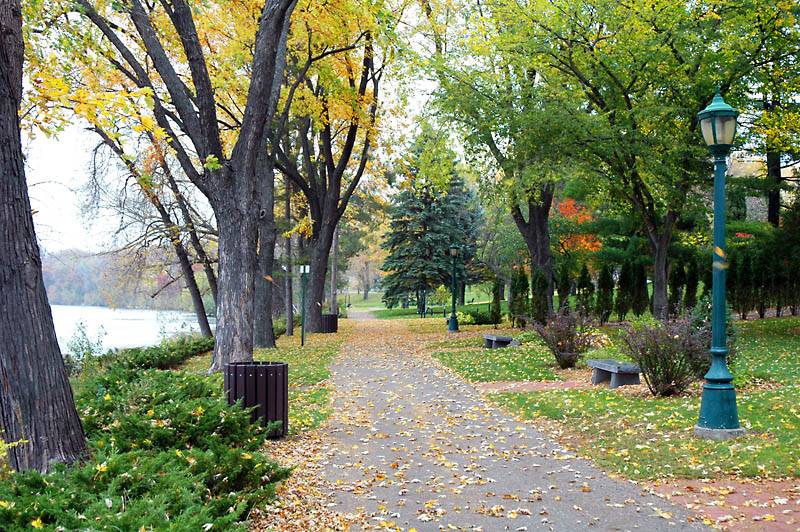 Paved Garden Path