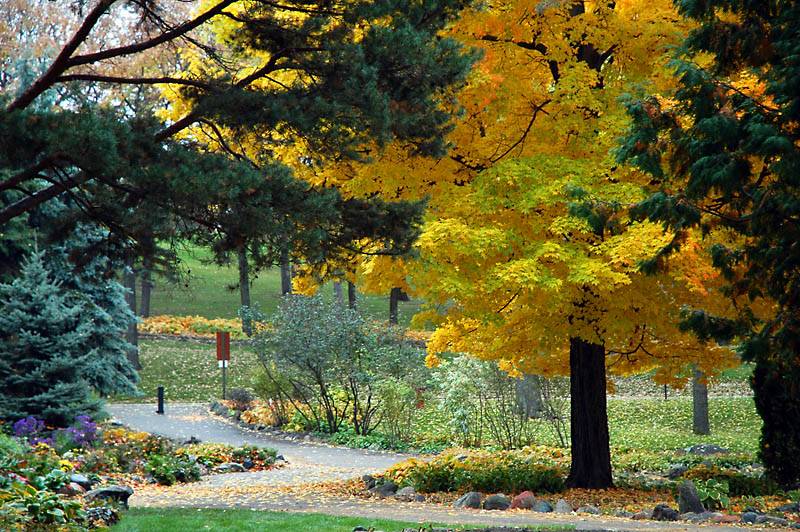 Fall Garden Scene 2a
