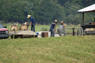 Working on the Farm