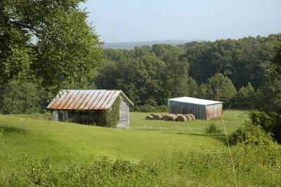 Rural Scene