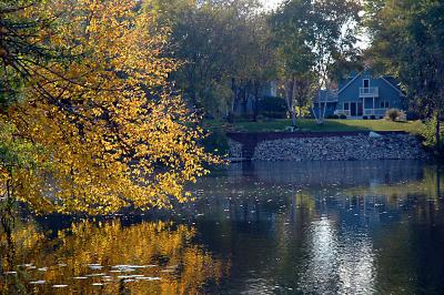 Fall on the Pond