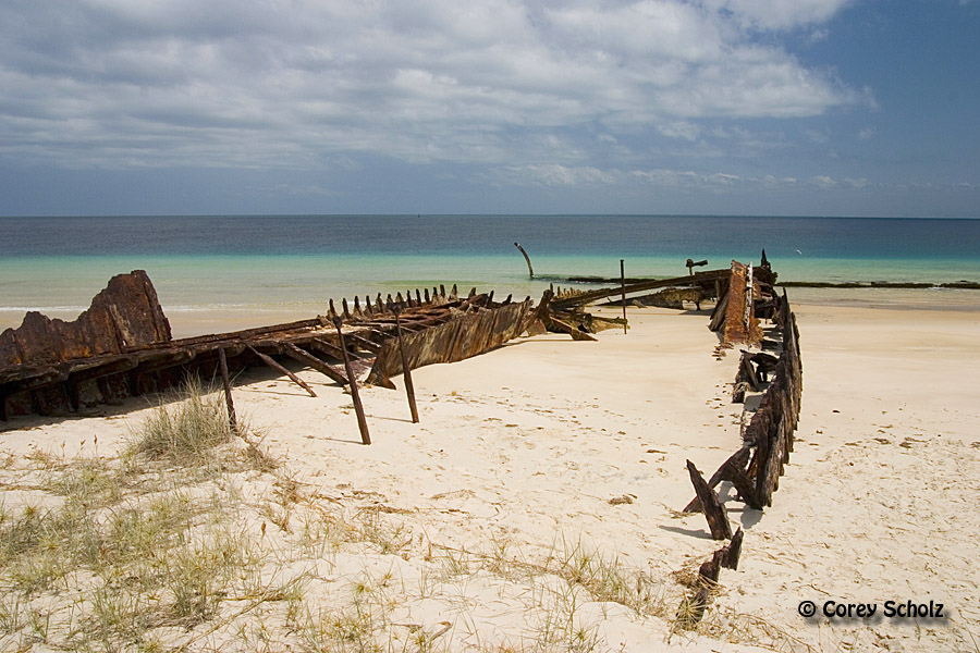 Tangalooma Shipwreck