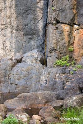 CRW_2374.JPG
