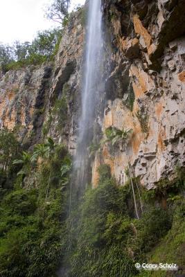 CRW_2390.JPG