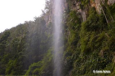 CRW_2394.JPG