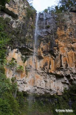 CRW_2398.JPG