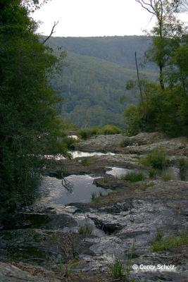 CRW_2413.JPG