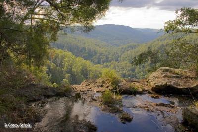 springbrook801.JPG