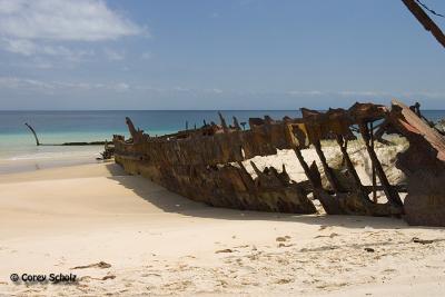 Tangalooma Shipwreck