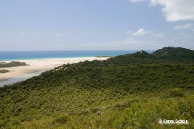 Moreton Island