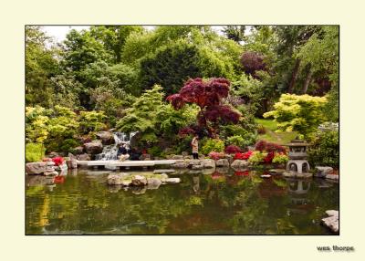 Japanese Garden- Holland Park London01.jpg