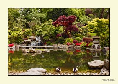 Japanese Garden-Holland Park London 02.jpg