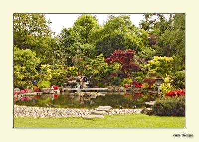 Japanese Garden-Holland Park London.jpg