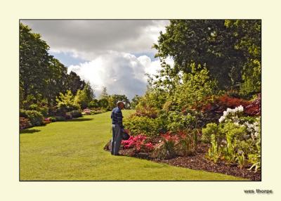 Wisley RHS Gardens.jpg