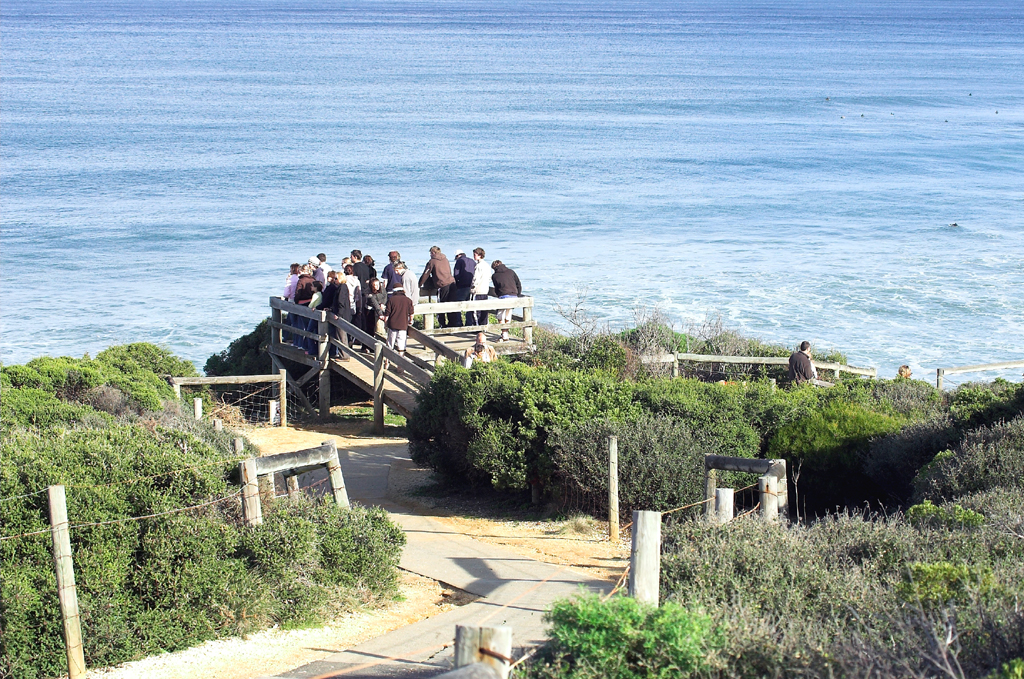 Bells Beach