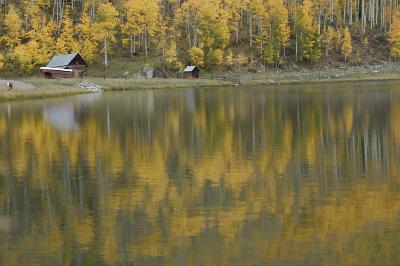 Reflections of Aspens