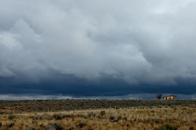 Roadside Shack in NM