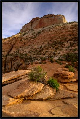 Canyon Overlook