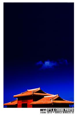 SHURI CASTLE BLUE.jpg