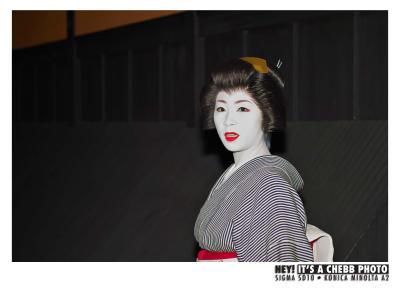 A TRUE GEIKO.jpg