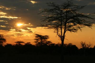 Selous Game Reserve