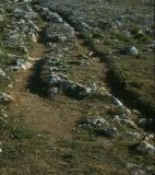 Cart Ruts