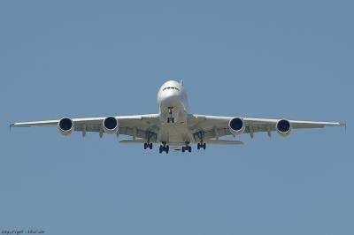 v3/49/599049/3/50155478.A3805.jpg