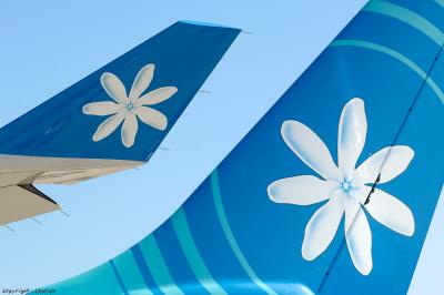 Airbus A340 Air Tahiti Nui