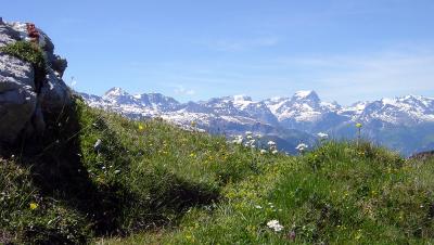 Aussicht von Fessis Alp