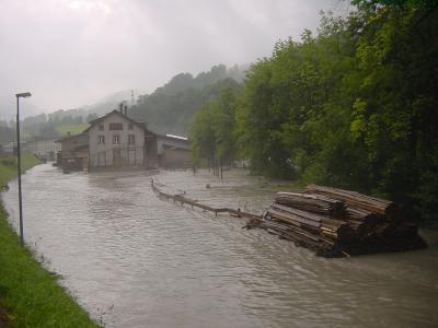 v3/49/60549/3/48346143.Hochwasser23.08.05012.jpg