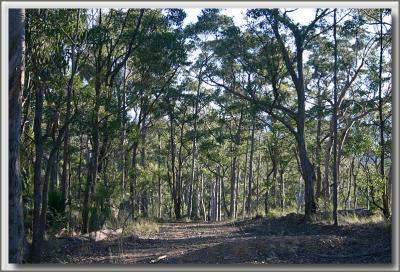 Holmes Lookout