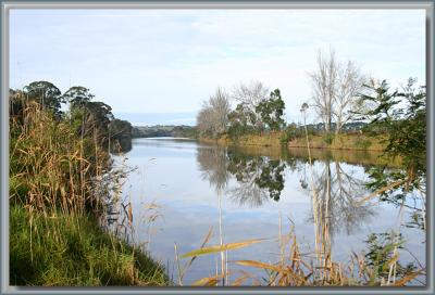 River Tambo Swan Reach - 1.jpg