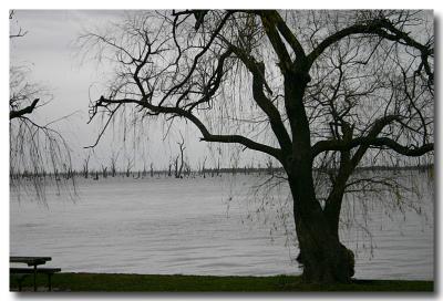 Lake Mulwala - Mulwala  (other side of river) - 1.jpg