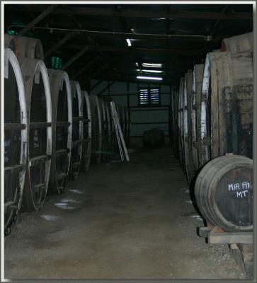 Morris winery Rutherglen