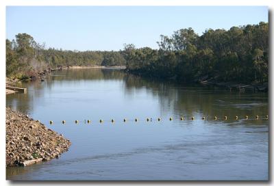 River Murray near Yarrawonga Weir - 1.jpg