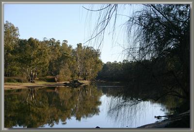 River Murray Cowera.  Reflections - 1 .jpg
