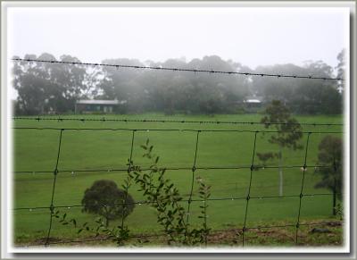 v3/49/99249/3/47902712.Raindropsonthefence2.jpg