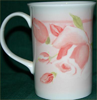 v3/49/99249/3/48628882.2ndFavouritemug1.jpg