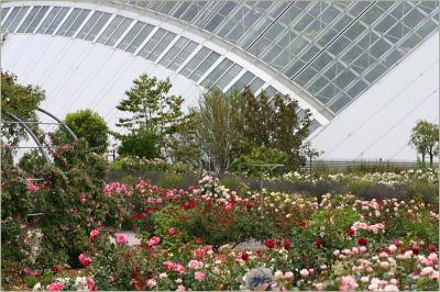 v3/49/99249/3/51309695.Rosegardenandtropicalglasshouse.2jpg.jpg